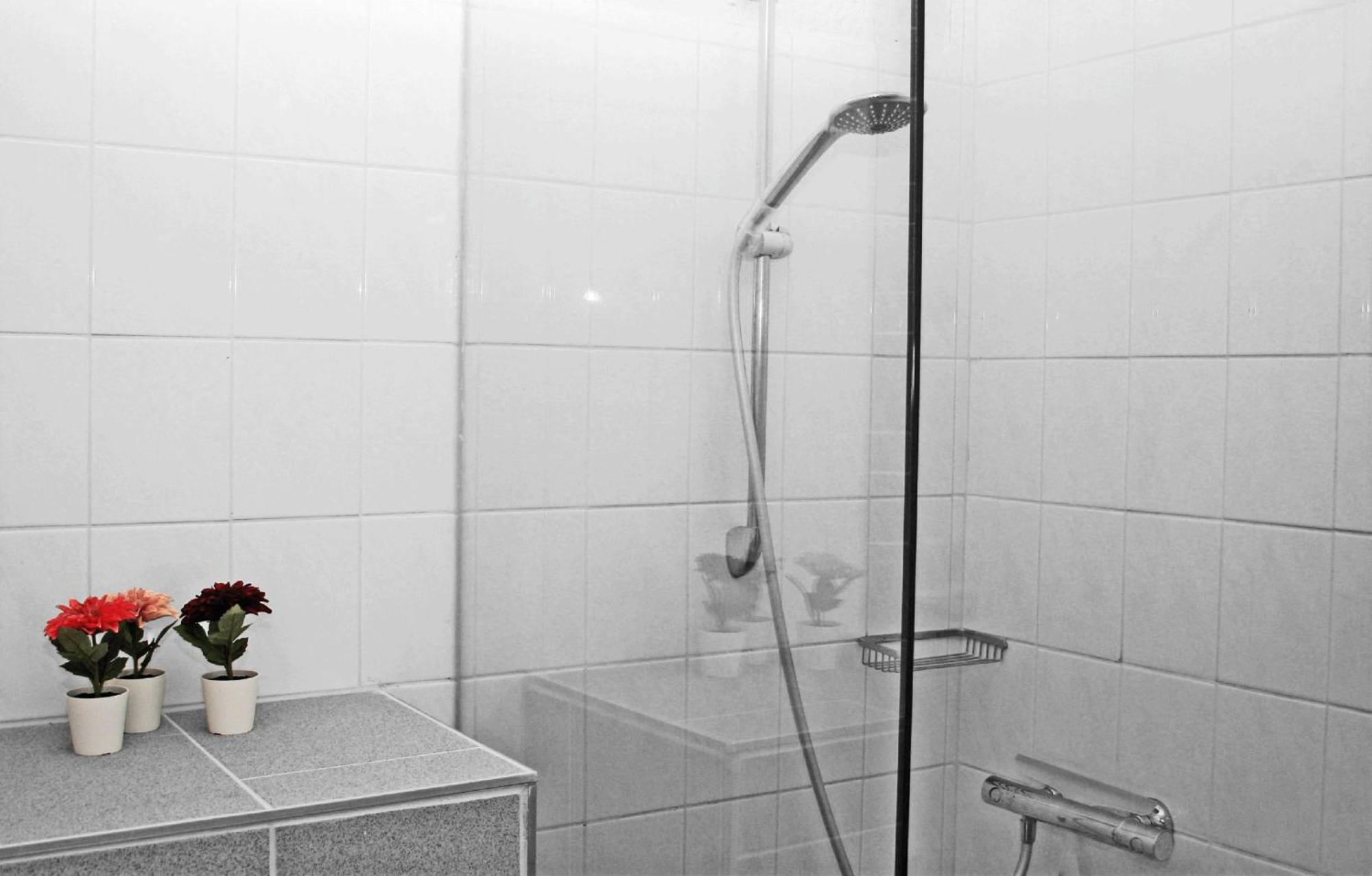 B&B En Vakantiewoningen 'T Wienhoes Wittem Kültér fotó