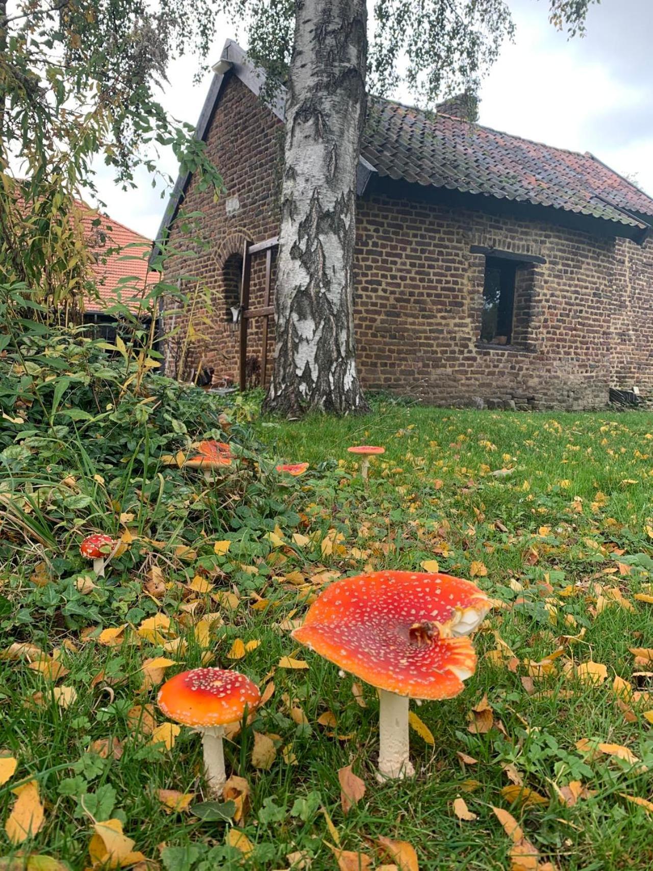 B&B En Vakantiewoningen 'T Wienhoes Wittem Kültér fotó